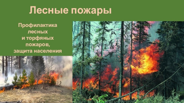 Берегите лес от пожаров!.